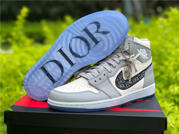Dior x Air Jordan 1 High OG White and 