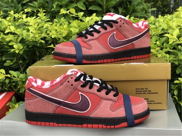 Nike SB Dunk Low Red Lobster Shoes To Buy 313170-661