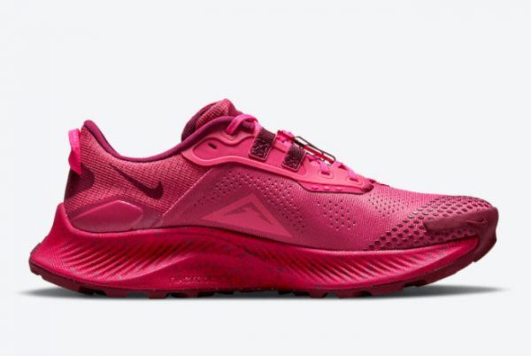 2021 Nike Pegasus Trail 3 Archaeo Pink Special Sale DM9468-600-1