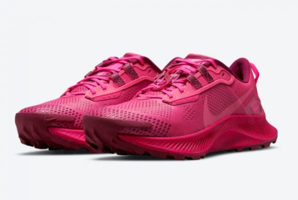 2021 Nike Pegasus Trail 3 Archaeo Pink Special Sale DM9468-600-2