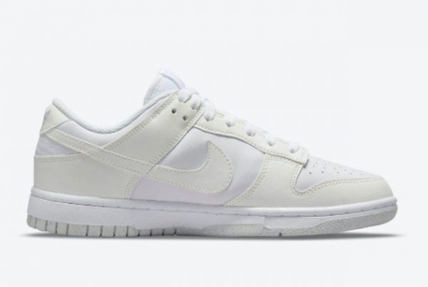 2021 Nike Dunk Low Move To Zero Sport Shoes DD1873-101-1