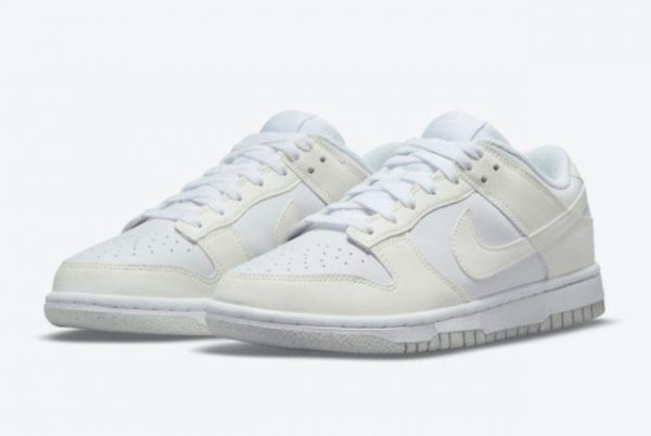 2021 Nike Dunk Low Move To Zero Sport Shoes DD1873-101-2