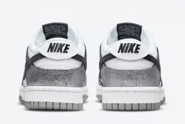 Buy Nike Dunk Low Shimmer Silver Cracked Leather DO5882-001-3