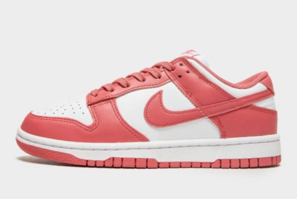 2021 Nike Dunk Low Archeo Pink Sneakers On Sale DD1503-111