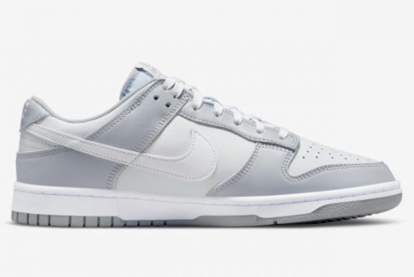 2022 New Nike Dunk Low Grey White DJ6188-001-1